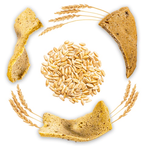 Seitan Geschnetzeltes natur 5x1kg CH/AT 