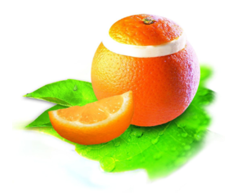 Orangefrüchte mit Sorbet 4 x 120 ml 
