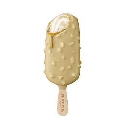 Magnum Double Gold Caramel 20 x 85 ml 